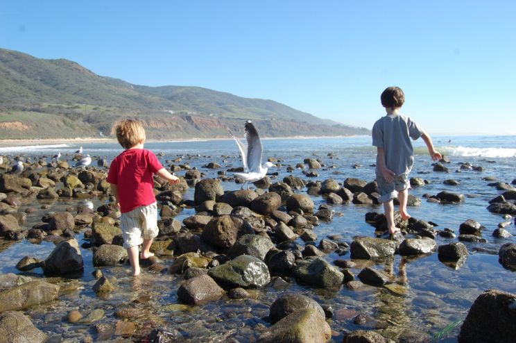 Leo Carrillo