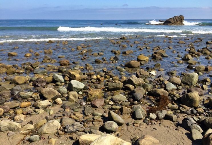 Leo Carrillo