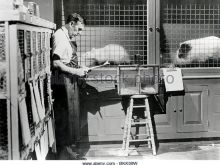 Leo G. Carroll