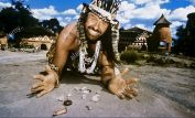 Leon Schuster