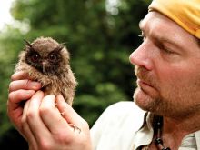 Les Stroud