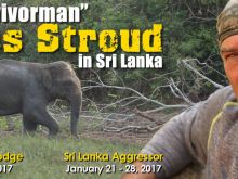 Les Stroud