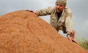 Les Stroud