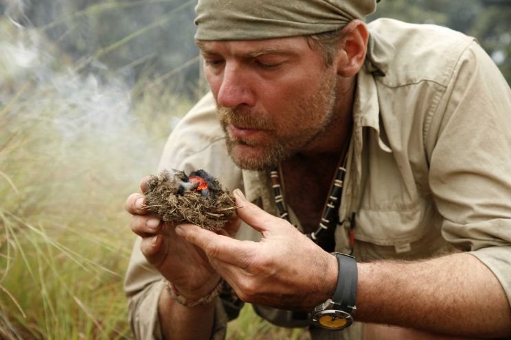 Les Stroud