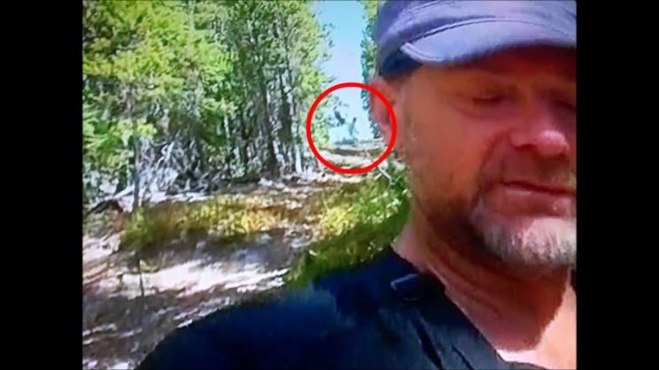 Les Stroud