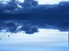 Lesleh Donaldson #3600486 picture (Landscape Medium)