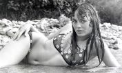 Lesley-Anne Down