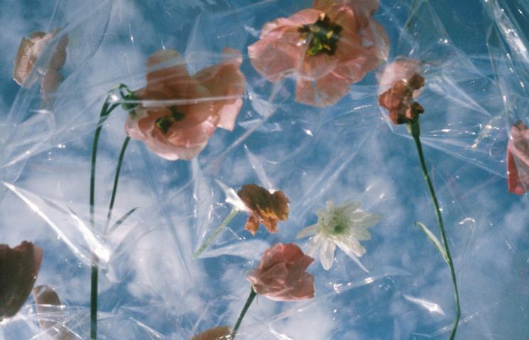 Lesley Sim