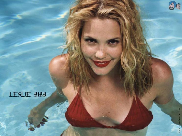 Leslie Bibb