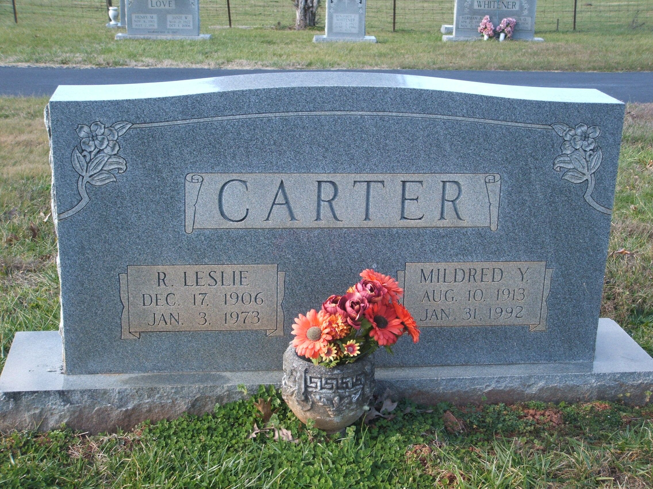 Pictures of Leslie Carter