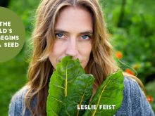 Leslie Feist
