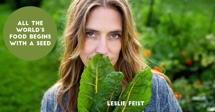 Leslie Feist