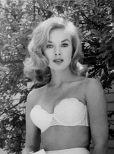 Leslie Parrish