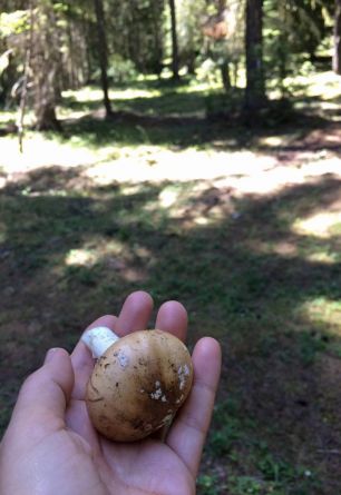 Levena Holmes's Biography - Wall Of Celebrities