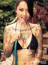 Levy Tran