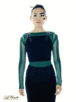 Li Jun Li #421584 picture (Portrait Medium)