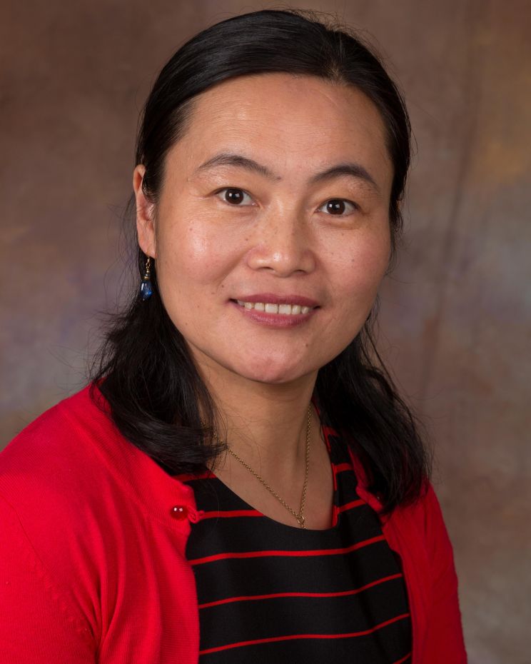 Li Sun