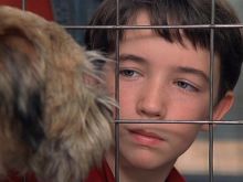 Liam Aiken