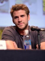 Liam Hemsworth #14947 picture (Portrait Medium)