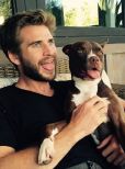 Liam Hemsworth