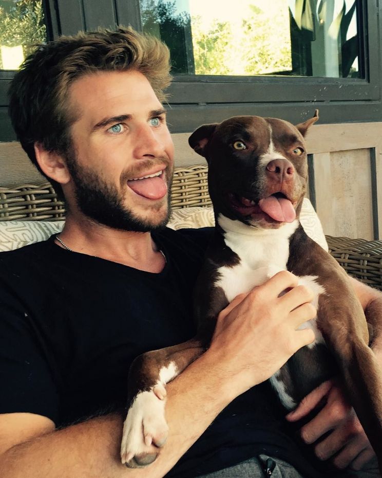 Liam Hemsworth