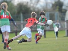 Liam Knight