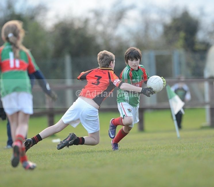 Liam Knight
