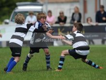 Liam Lynch