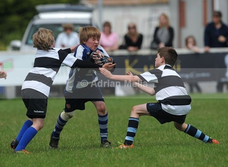 Liam Lynch