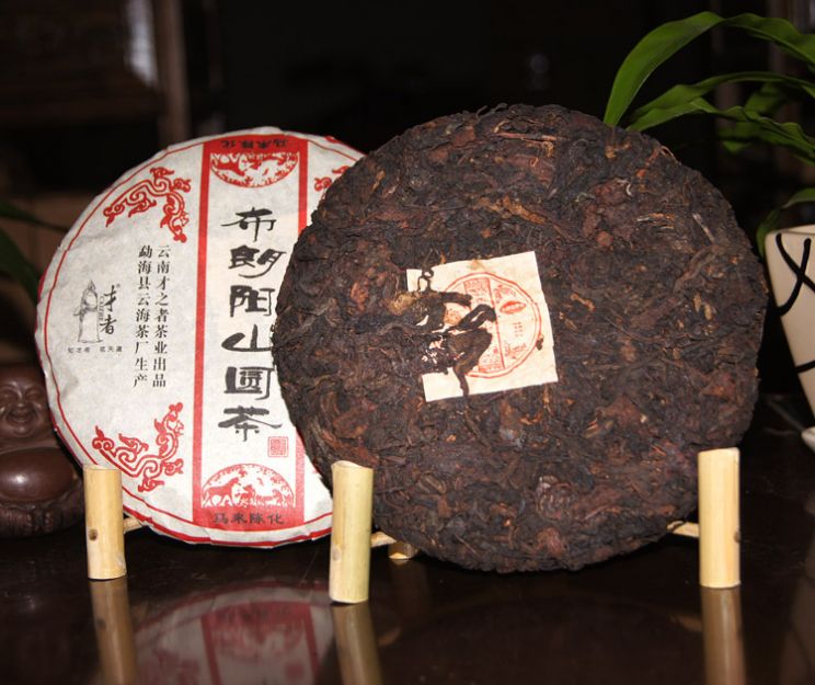 Liang Yang