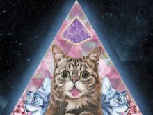 Lil Bub
