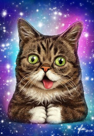 Lil Bub