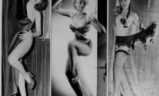 Lili St. Cyr