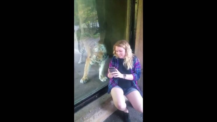 Liliane Tiger
