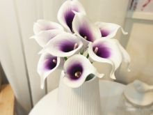 Lily Ji