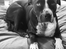 Lily Mae Silverstein photo