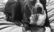 Lily Mae Silverstein