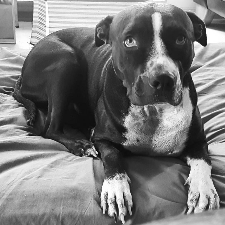 Lily Mae Silverstein