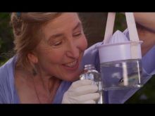 Lin Shaye