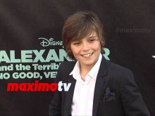 Lincoln Melcher #2666224 picture (Landscape Medium)
