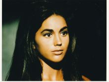 Linda Harrison #342324 picture (Landscape Medium)