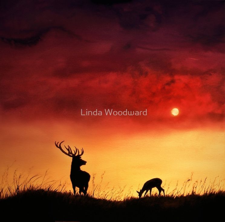 Linda Woodward