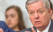 Lindsay Graham