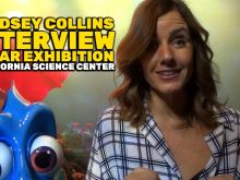 Lindsey Collins