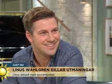 Linus Wahlgren