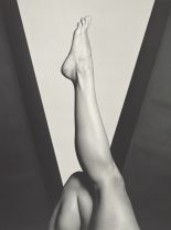 Lisa Lyon photo