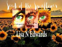 Lisa N Edwards