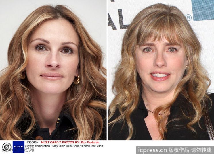 Lisa Roberts Gillian