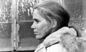 Liv Ullmann