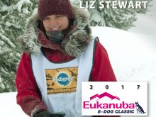 Liz Stewart